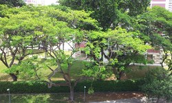 Mandarin Gardens (D15), Condominium #179803612